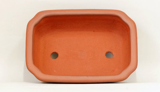 Ikko Unglazed Rectangle Bonsai Pot in Shudei (vermilion clay) 8"(21cm) I031 +++ Shipping Free