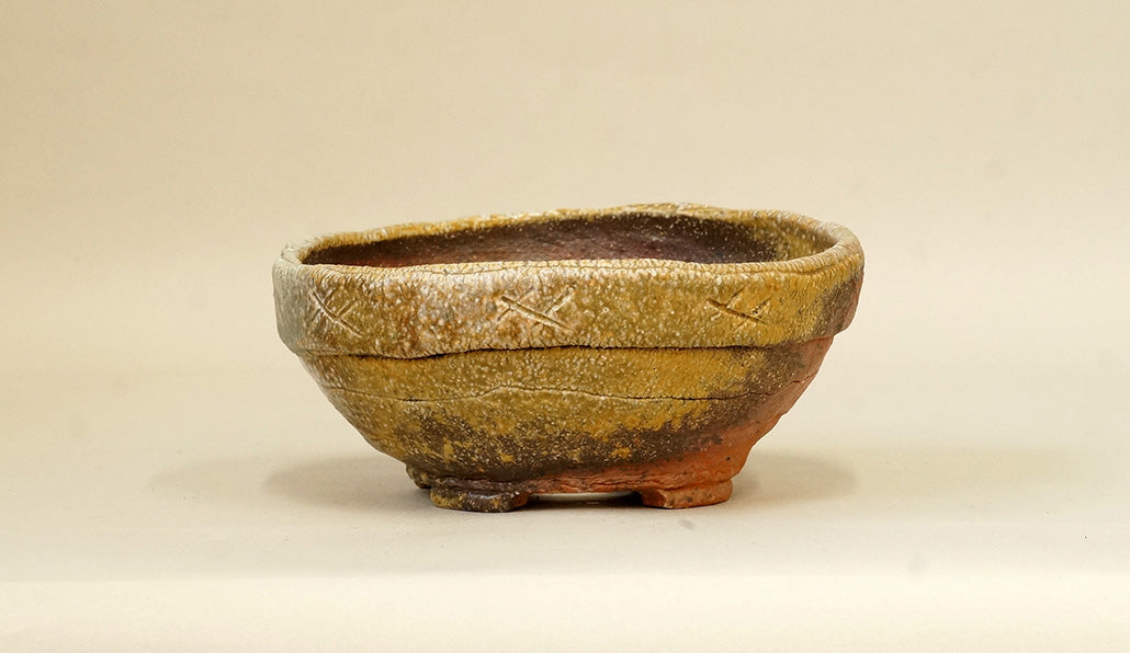 Toji Wood-Fired Bonsai Pot 5.5"(14cm) T033  +++ Shipping Free