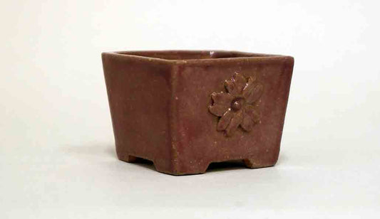 Kei Mini Bonsai Pot with Cherry blossoms 2"(5.2cm) +++ Shipping Free