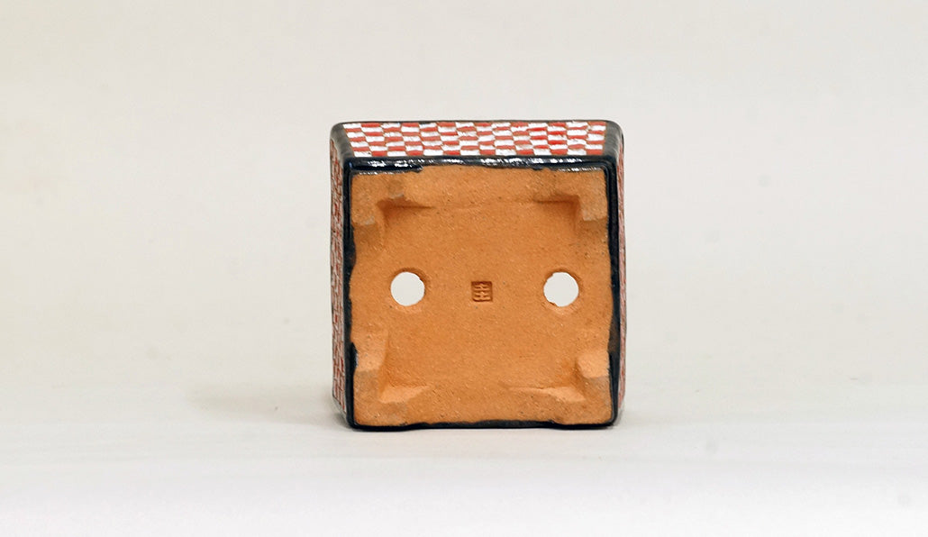 Kei Square Bonsai Pot with White & Red checkered pattern 2.9"(7.6cm) K010 +++Shipping Free