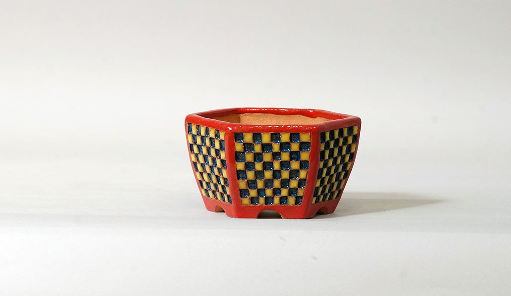 Kei Hexagonal Bonsai Pot with Yellow & Blue checkered pattern 3.5"(9cm) K013 +++Shipping Free