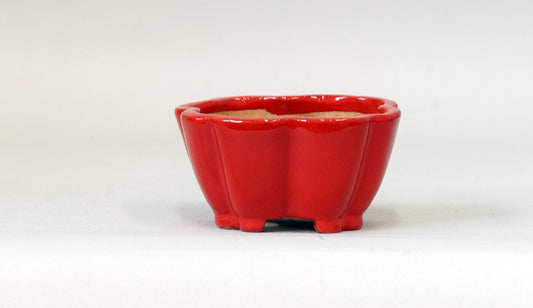 Kei Flower Shaped Bonsai Pot in vermilion 83.3"(.5cm) K017 +++ Shipping Free　　