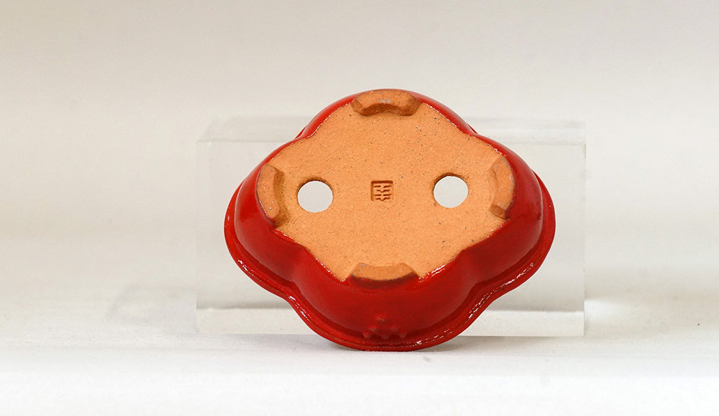Kei Mokko Shaped Mini Bonsai Pot in vermilion 83.3"(.5cm) K018 +++ Shipping Free　　