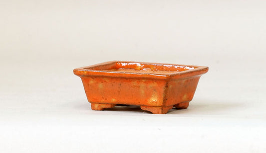Kei Rectangle Mini Bonsai Pot in Orange Glaze 2.7"(7cm) K019 +++ Shipping Free