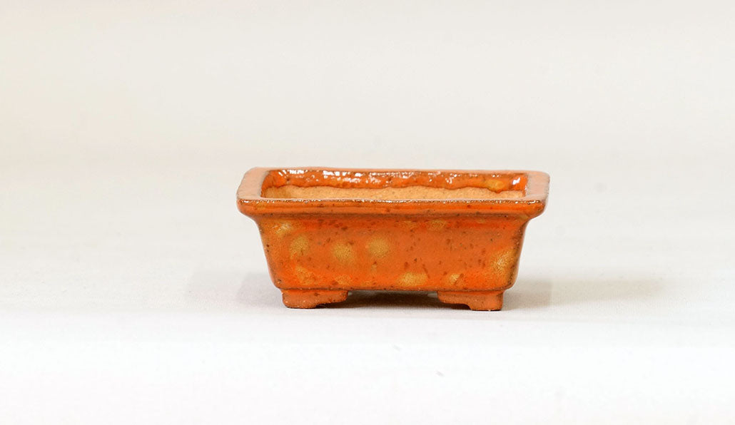 Kei Rectangle Mini Bonsai Pot in Orange Glaze 2.7"(7cm) K019 +++ Shipping Free