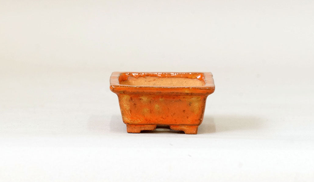 Kei Rectangle Mini Bonsai Pot in Orange Glaze 2.7"(7cm) K019 +++ Shipping Free