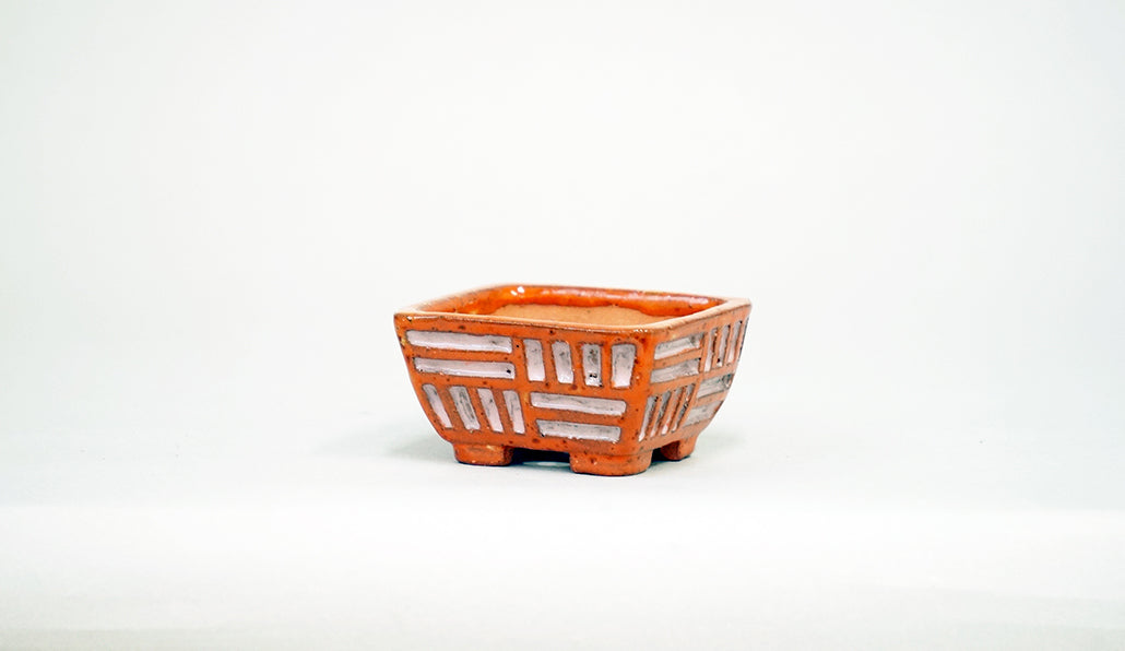 Kei Square Bonsai Pot with Geometric incised pattern 2.5"(6.3cm) K021 +++Shipping Free
