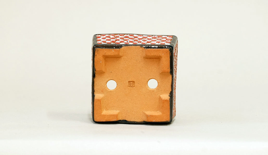 Kei Square Bonsai Pot with White & Red checkered pattern 2.9"(7.6cm) K026 +++Shipping Free