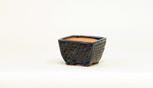 Kei Square Bonsai Pot with Mesh Pattern 2.6"(6.5cm) K024 +++Shipping Free