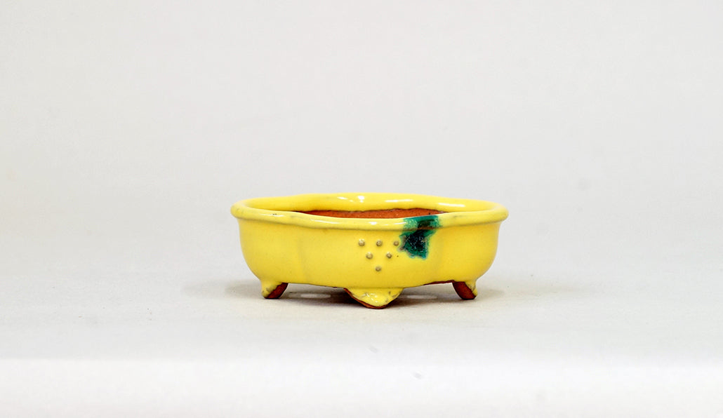 Kei Mokkou-Style Mini Bonsai Pot in Yellow 3.07"(7.8cm) K028