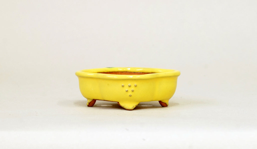 Kei Mokkou-Style Mini Bonsai Pot in Yellow 3.07"(7.8cm) K028