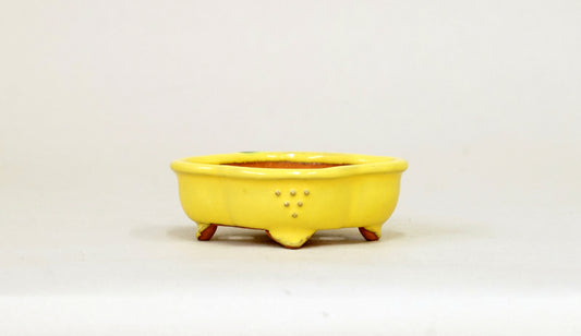 Kei Mokkou-Style Mini Bonsai Pot in Yellow 3.07"(7.8cm) K028