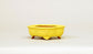 Kei Mokkou-Style Mini Bonsai Pot in Yellow 3.07"(7.8cm) K028