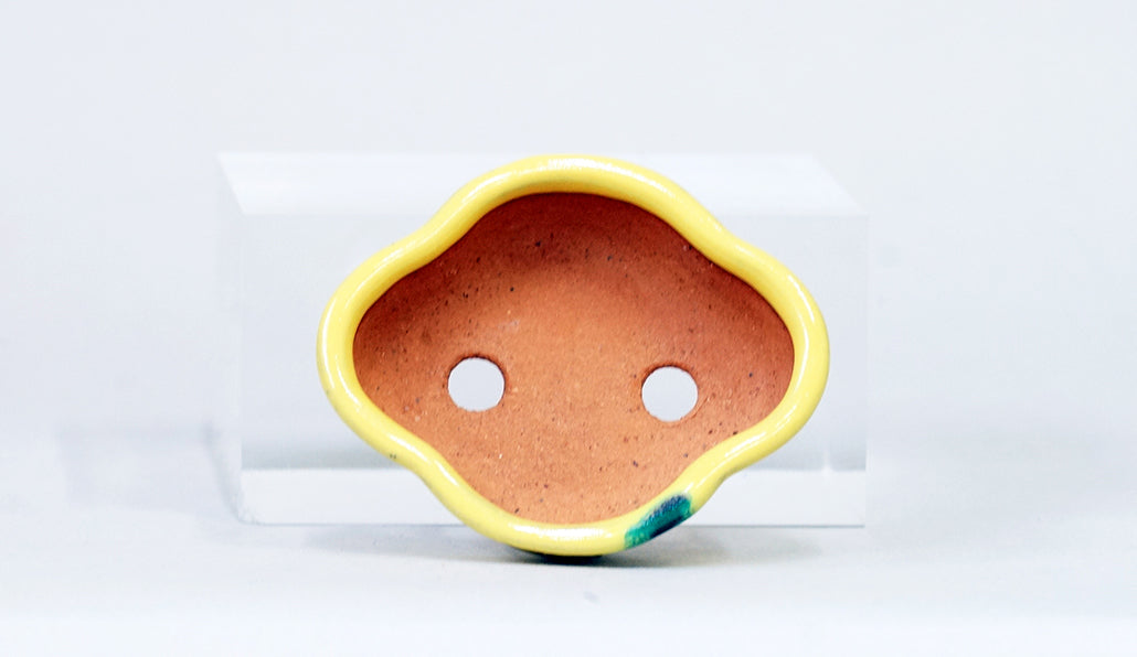 Kei Mokkou-Style Mini Bonsai Pot in Yellow 3.07"(7.8cm) K028