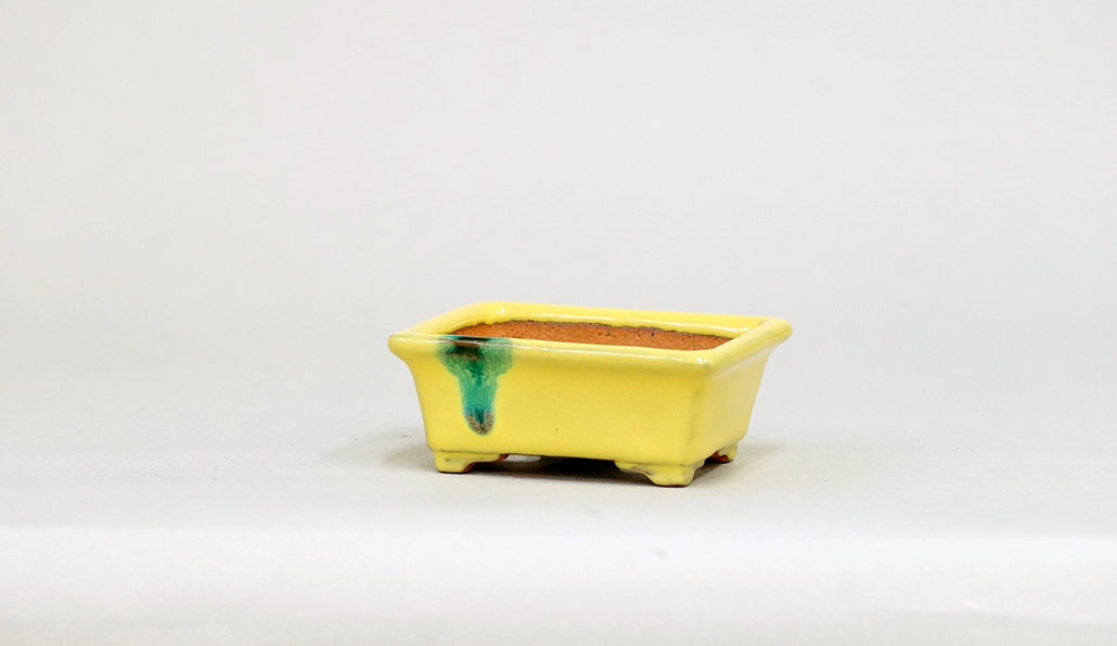 Kei Mini Bonsai Pot in Yellow 2.99"(7.6cm) K030