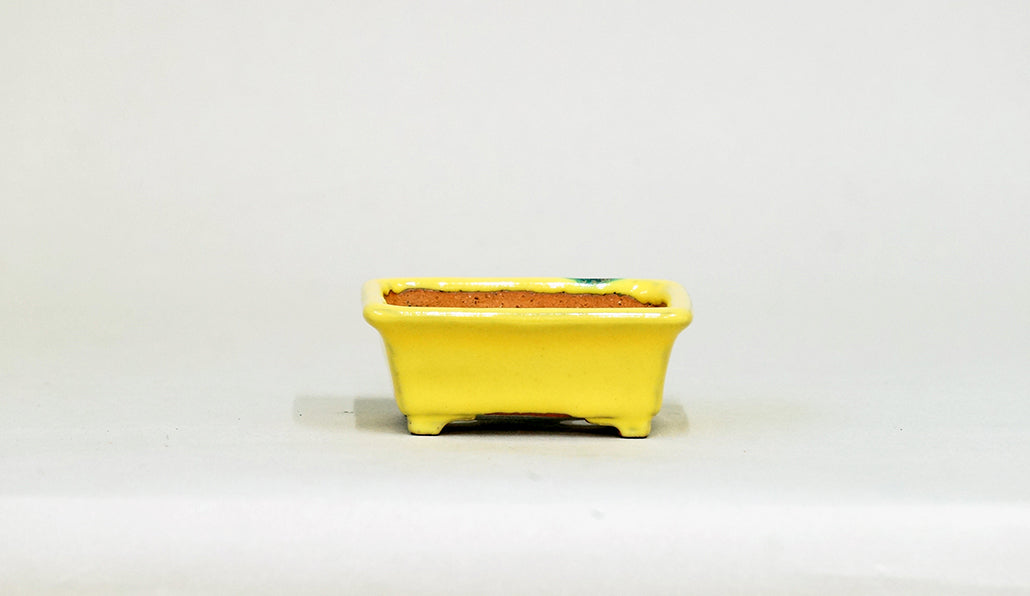 Kei Mini Bonsai Pot in Yellow 2.99"(7.6cm) K030