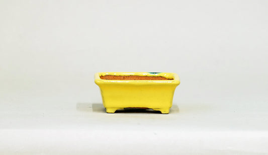 Kei Mini Bonsai Pot in Yellow 2.99"(7.6cm) K030