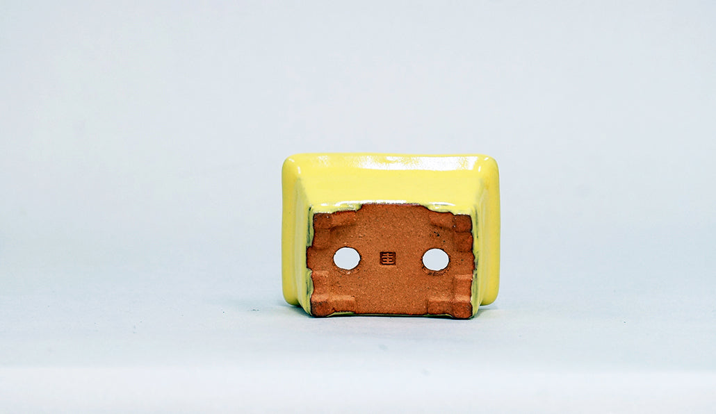 Kei Mini Bonsai Pot in Yellow 2.99"(7.6cm) K030