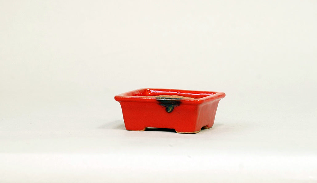 Kei Mini Bonsai Pot in Red 2.56"(6.5cm) K031