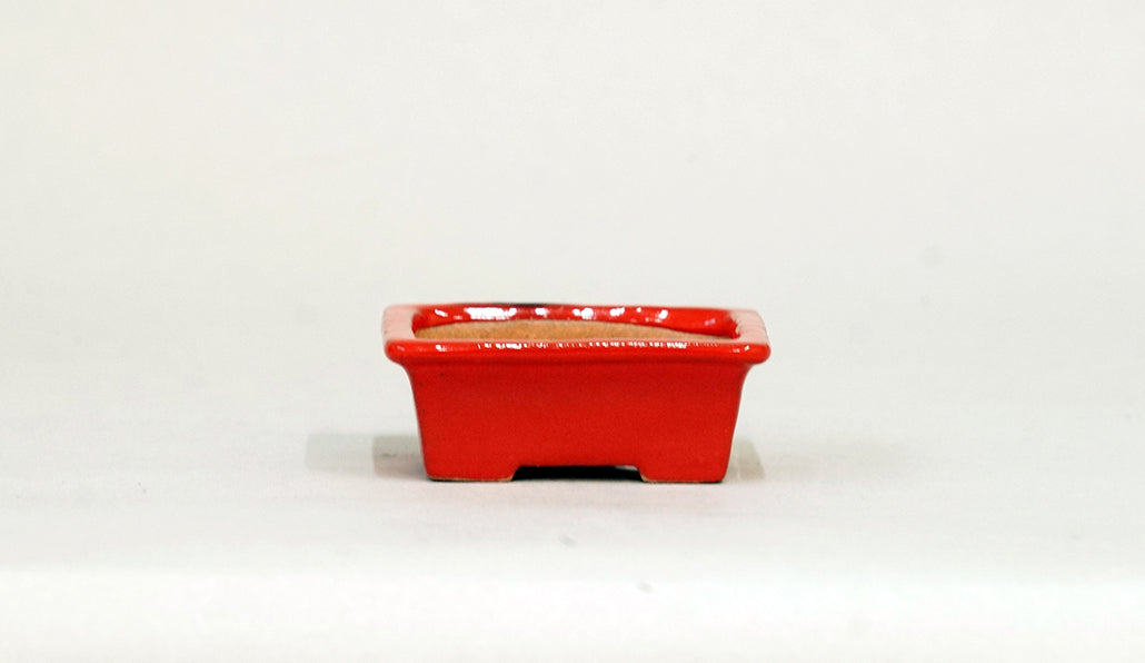 Kei Mini Bonsai Pot in Red 2.56"(6.5cm) K031