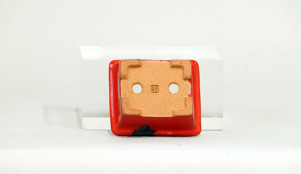 Kei Mini Bonsai Pot in Red 2.56"(6.5cm) K031