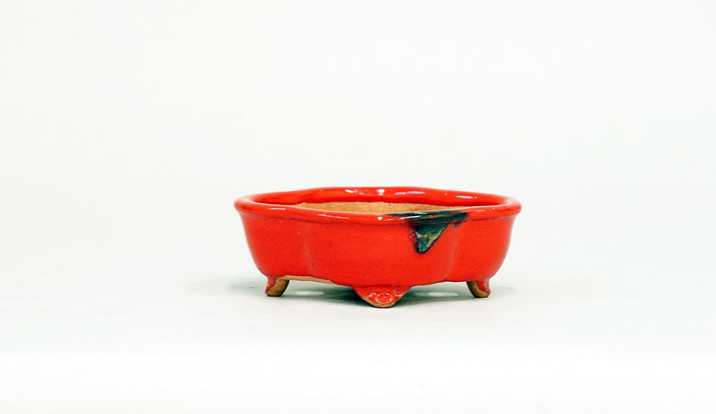 Kei Mokkou-Style Mini Bonsai Pot in Red 3.27"(8.3cm) K033