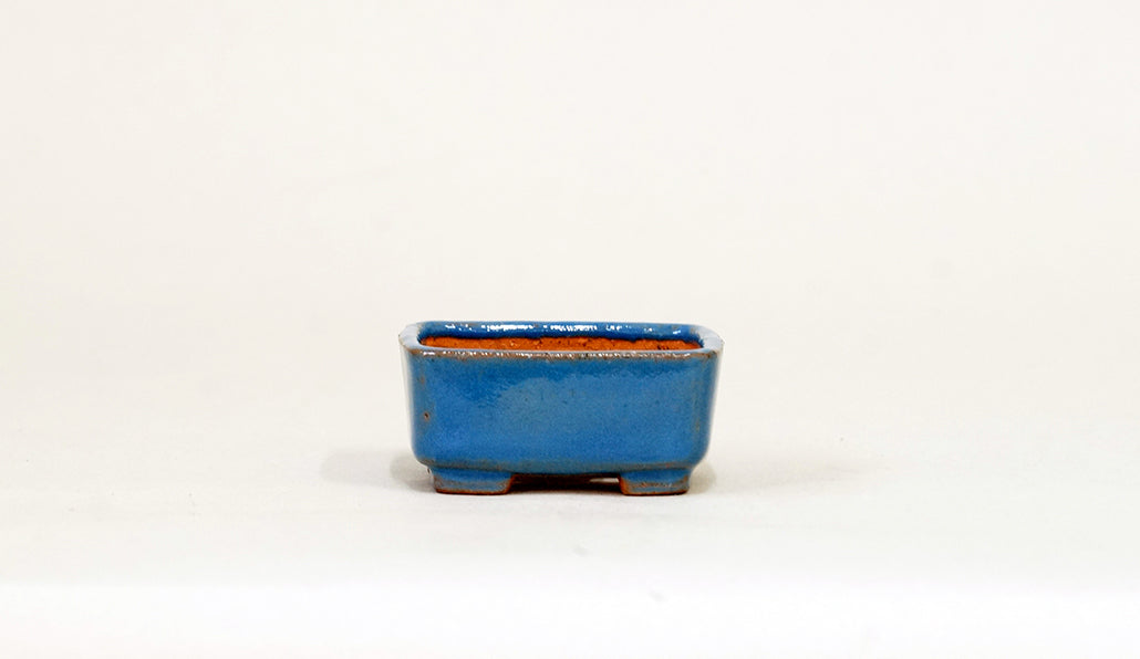 Kei Blue Mame Bonsai Pot with Flower Relief  2.09"(5.3cm)