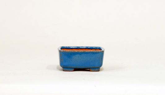 Kei Blue Mame Bonsai Pot with Flower Relief  2.09"(5.3cm)