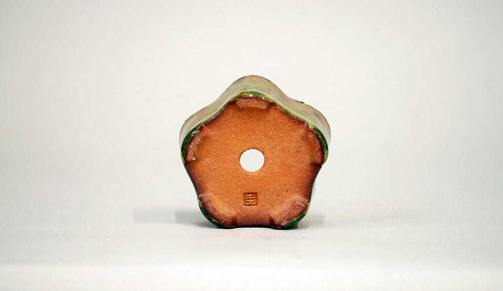 Kei Ume blossom Shaped Bonsai Pot 2.17"(5.5cm) K035