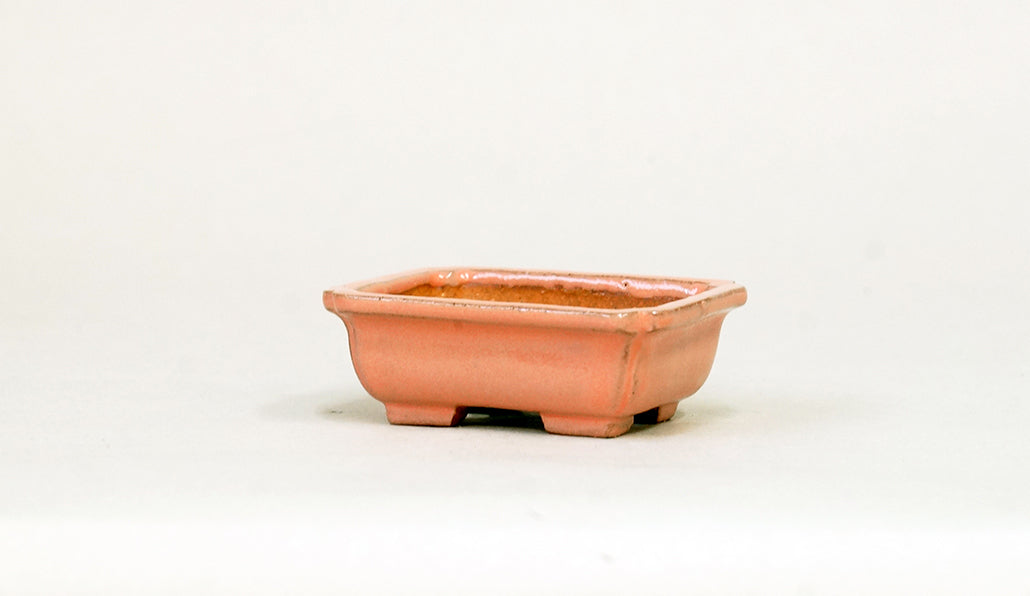 Kei Pink Rectangle Mini Bonsai Pot  2.76"(7cm) K036