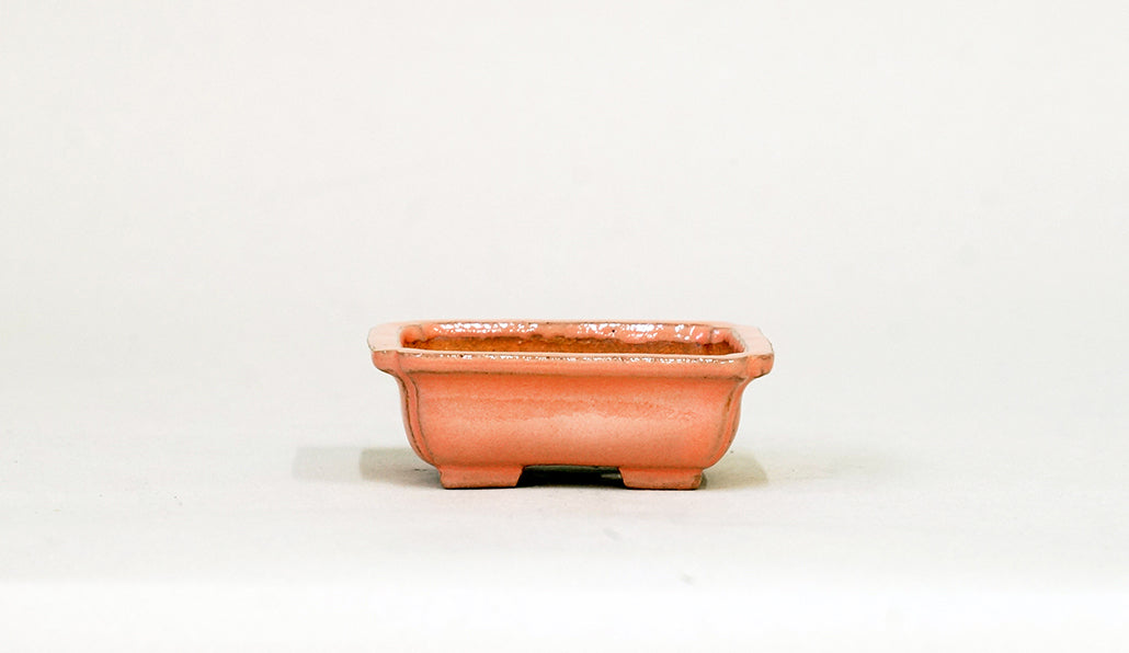 Kei Pink Rectangle Mini Bonsai Pot  2.76"(7cm) K036