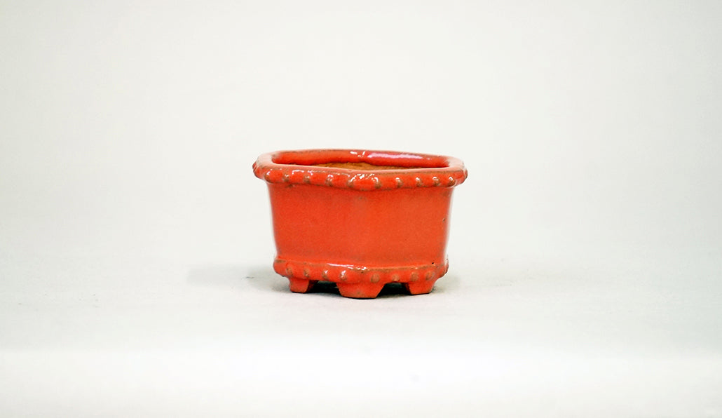 Kei Hexagonal Bonsai Pot in Pink 2.36"(6cm) K037