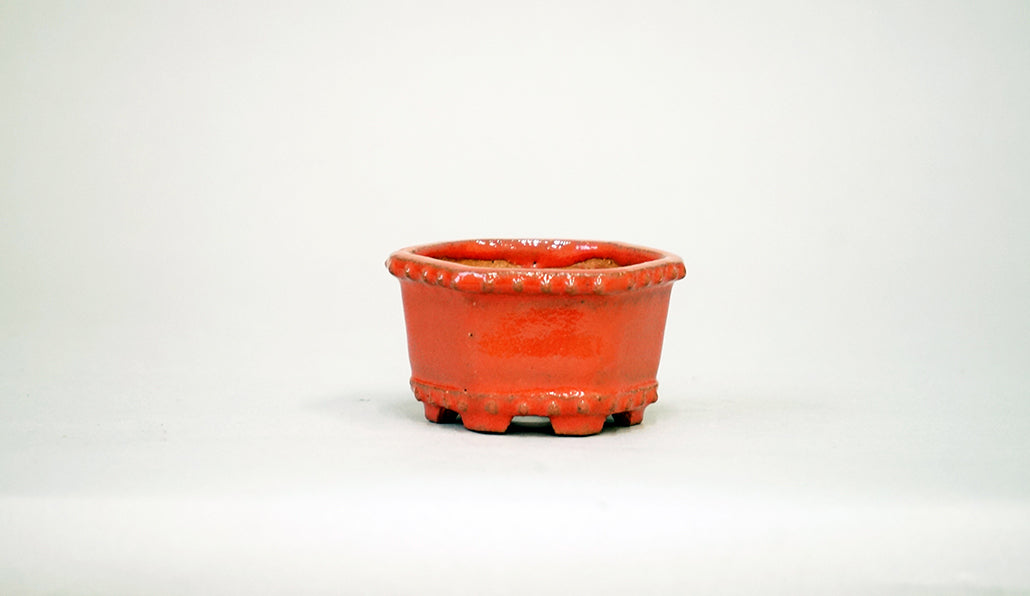 Kei Hexagonal Bonsai Pot in Pink 2.36"(6cm) K037