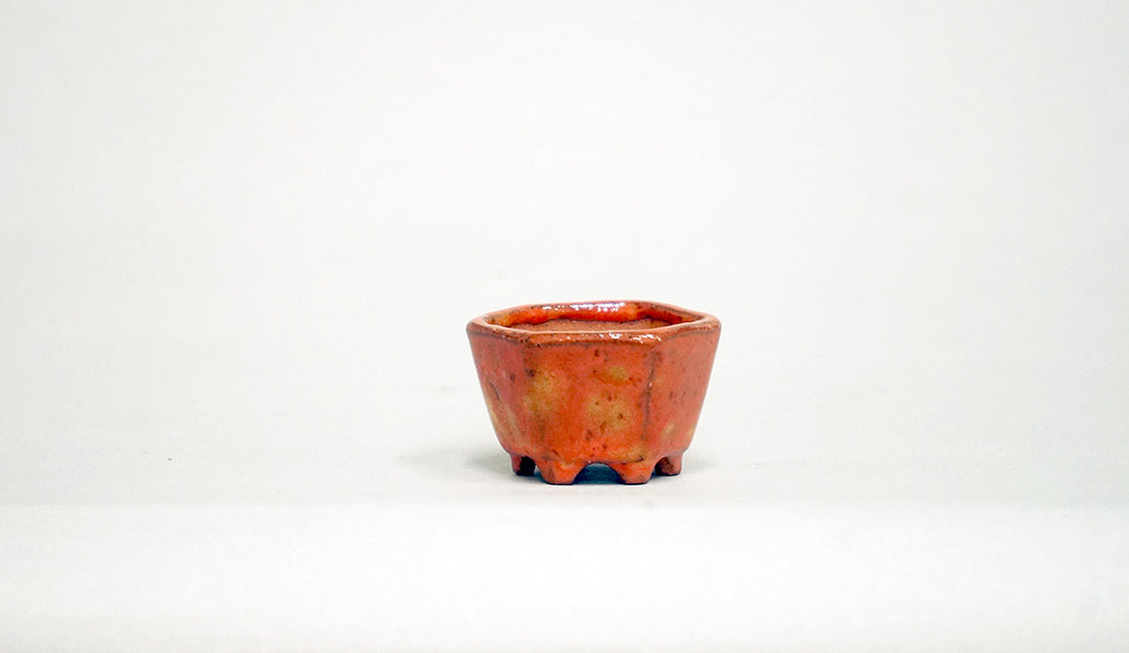 Kei Mini Orange Bonsai Pot with Flower Relief 1.57"(4cm) K039
