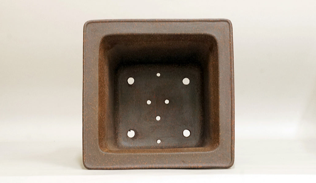 Sampo Square Bonsai Pot with Lines 8.5"(21.5cm) S020