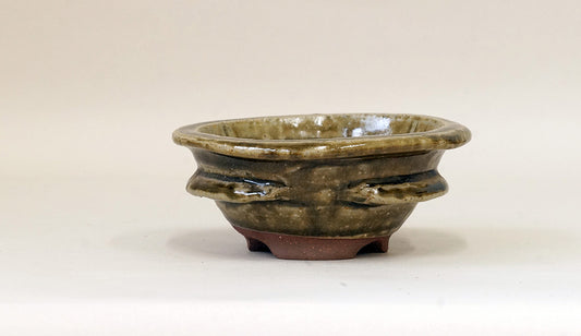 Toji Wood-Fired Bonsai Pot in Green Glaze 4.9"(12.5cm) T025 +++ Shipping Free