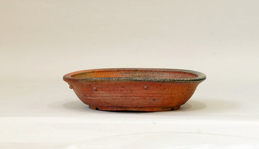 Toji Wood-Fired Shallow Bonsai Pot with Rivet Design 6.6"(17cm) T029  +++ Shipping Free