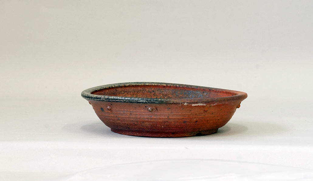 Toji Wood-Fired Shallow Bonsai Pot with Rivet Design 6.6"(17cm) T029  +++ Shipping Free