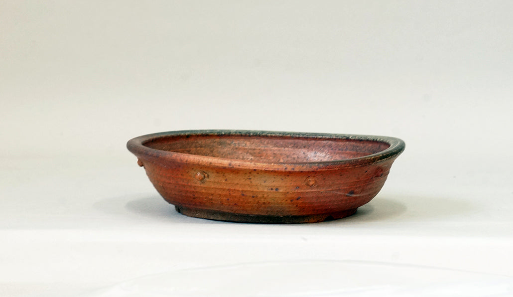 Toji Wood-Fired Shallow Bonsai Pot with Rivet Design 6.6"(17cm) T029  +++ Shipping Free