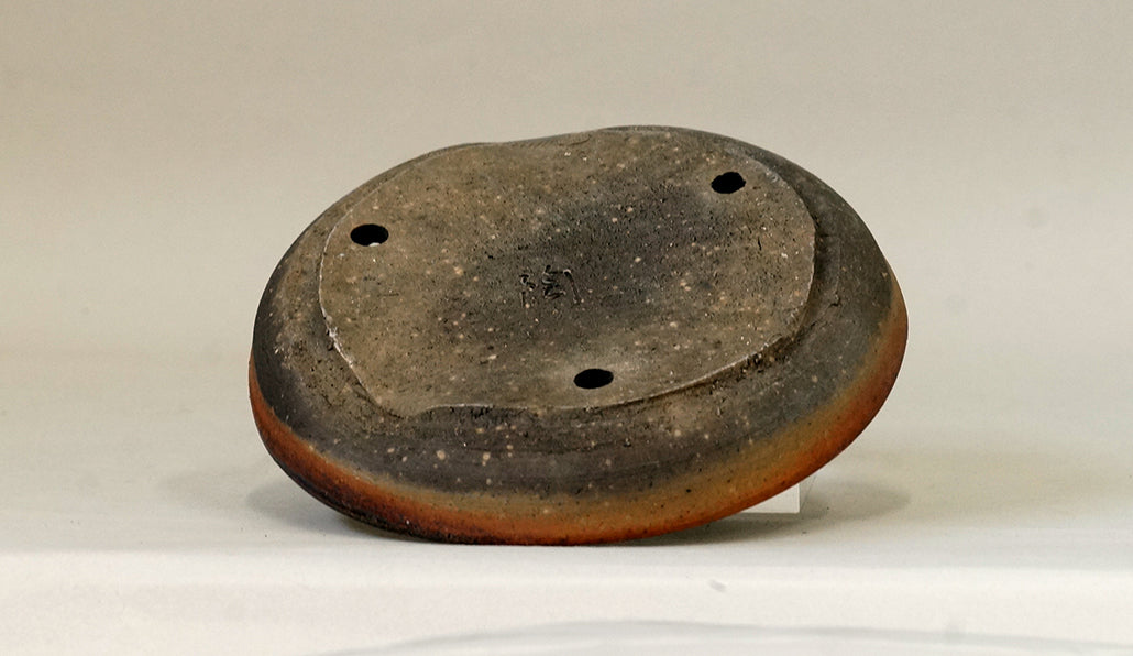 Toji Wood-Fired Shallow Bonsai Pot 5.5"(14cm) T031  +++ Shipping Free