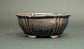 Metallic Feel! Tenmoku Glazed Oval Bonsai Pot by Shuuhou +++Shipping Free
