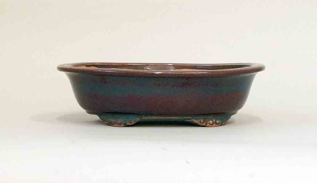 Eimei Shinsya Glazed Bonsai Pot with Rim, 7.8 Inch +++Shipping Free