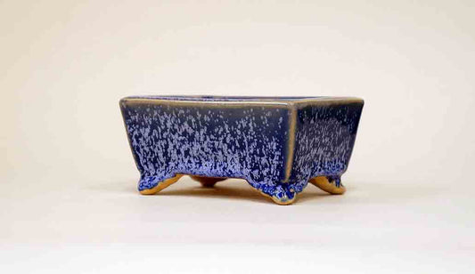 Eimei Bonsai Pot in Navy Glaze with Purple Crystals 3.9"(10cm) + Shipping Free