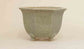Eimei Octagonal Bonsai Pot in Celadon +++Shipping Free