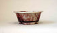 Juko Mokko Shaped Bonsai Pot with Shinsya Glaze +++Shipping Free