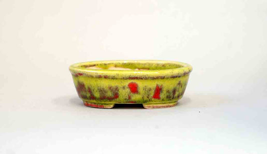 Juko Running Yellow with Red! Oval Bonsai Pot +++Shipping Free