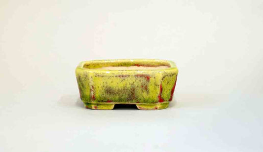 Juko Mini Rectangle Pot in Yellow & Red Glaze +++ Shipping Free