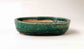 Koyo Oval Bonsai Pot in Deep Green Glaze 4.9"(12.5cm)