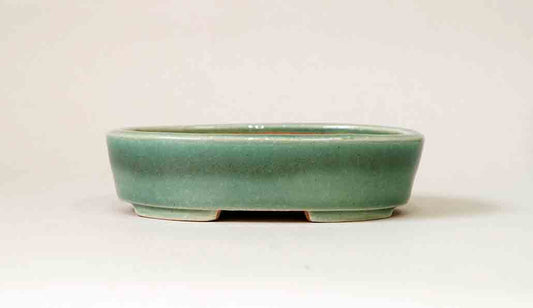 Koyo Oval Bonsai Pot in Green Glaze